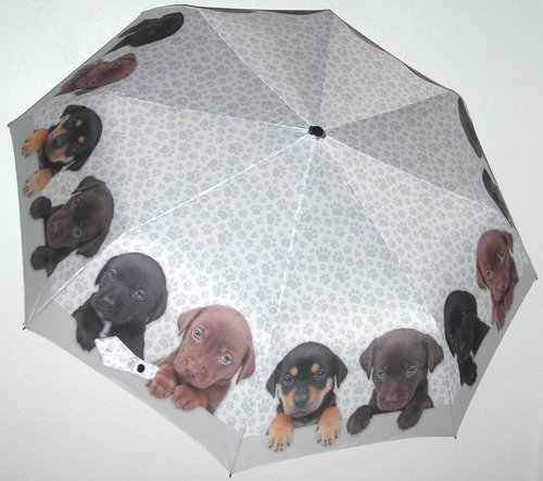 Bildschöner Taschenschirm, mit Automatik, Motiv "Hundewelpen"