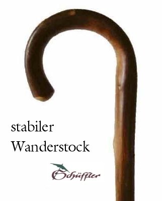 Stabiler Wanderstock 900081