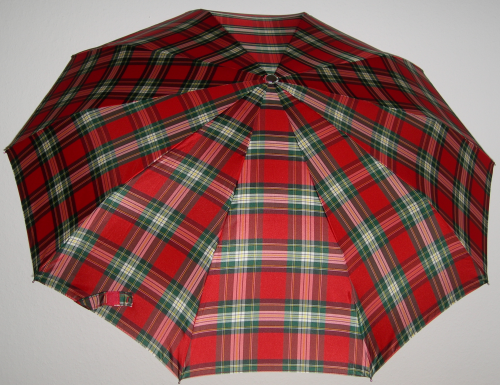 Lightweight folding umbrella with 10 ribs.