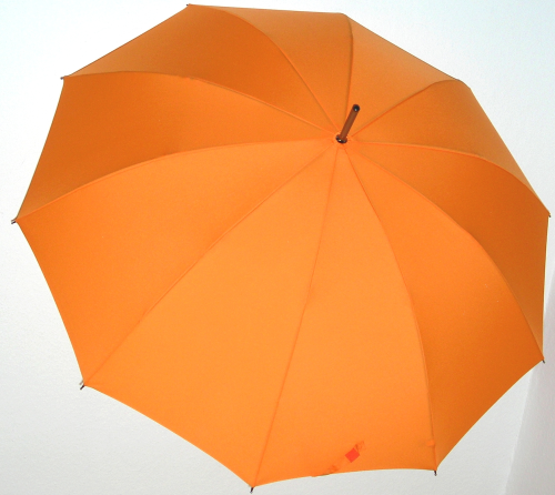 Quality umbrella, light and strong umbrella with 10 ribs 1007721