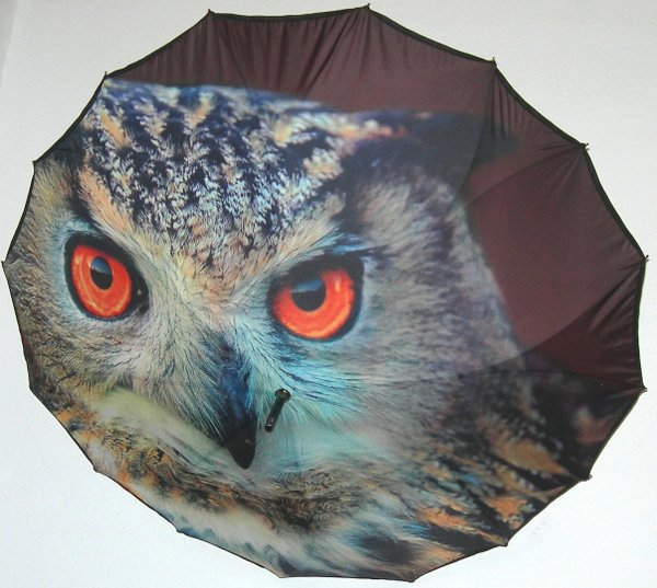 Beautiful umbrella with motif "Owl" 100289