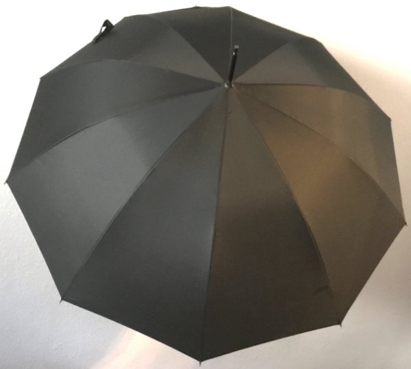 10-Sections stick umbrella, Automatic, black      2003115