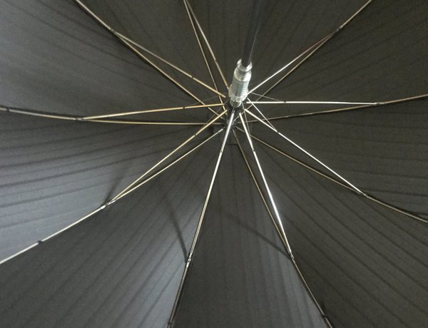 10-Sections stick umbrella, Automatic      2003116